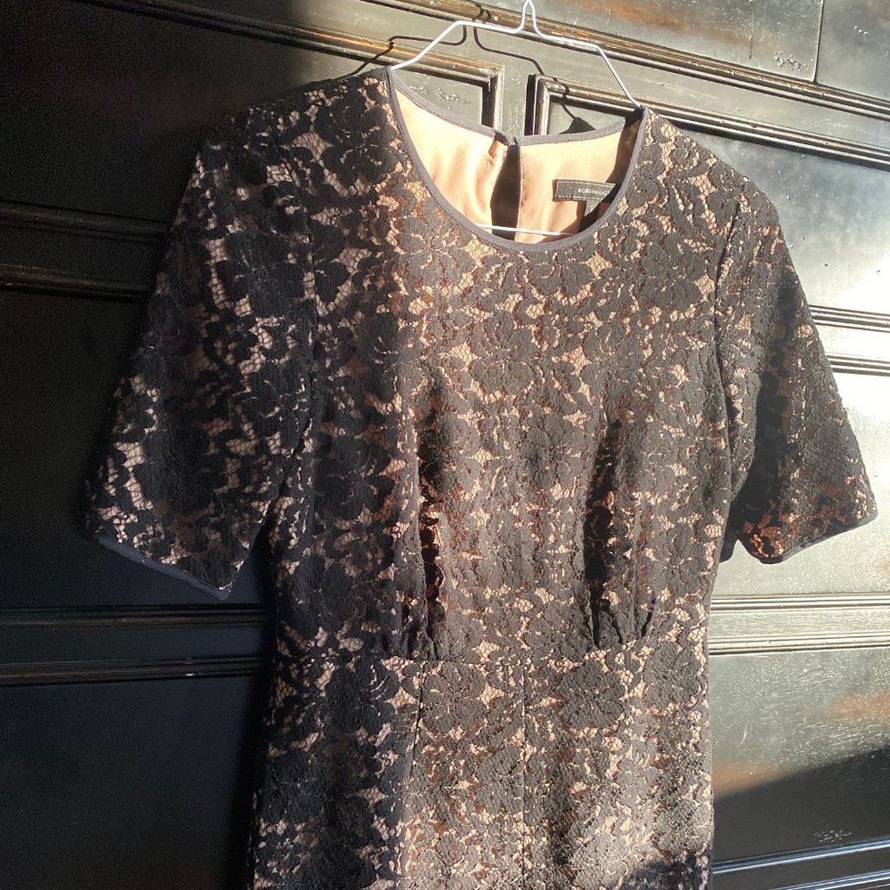 BCBG Romper